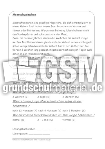 Meerschweinchen.pdf